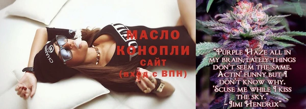 индика Богородицк
