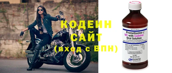 индика Богородицк