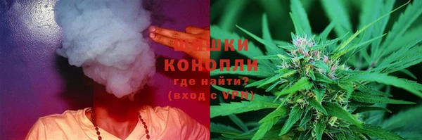мдпв Богородск