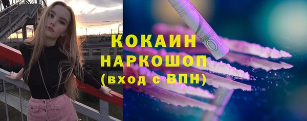 стаф Богданович