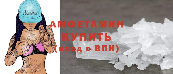 индика Богородицк