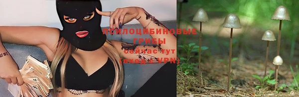 индика Богородицк
