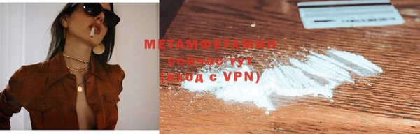 индика Богородицк