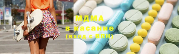 индика Богородицк