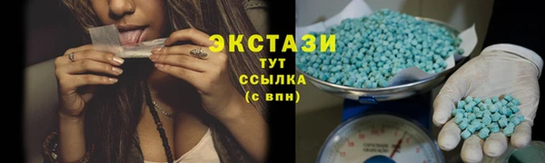 индика Богородицк