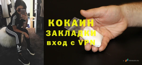 индика Богородицк
