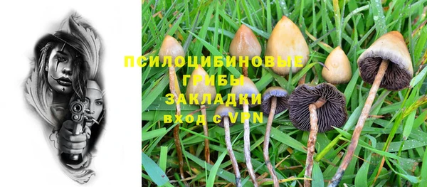 стаф Богданович