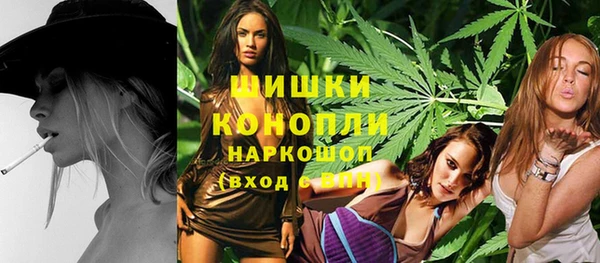 мдпв Богородск