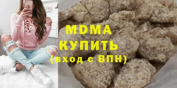 индика Богородицк