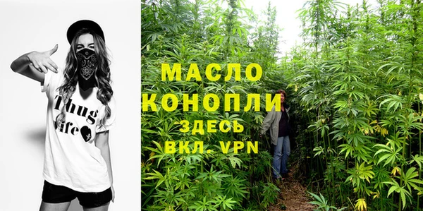 стаф Богданович