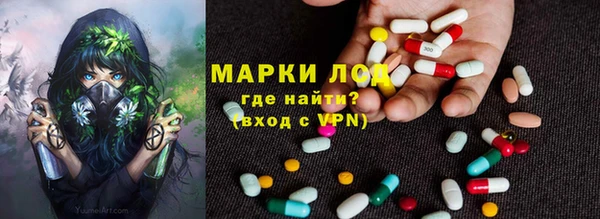 индика Богородицк