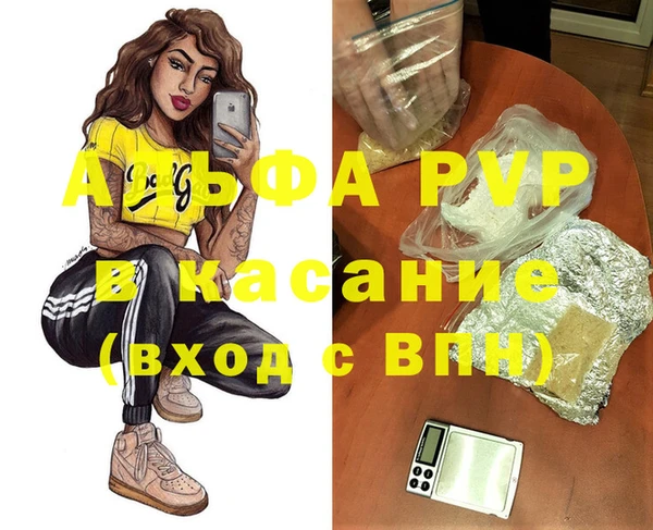 индика Богородицк