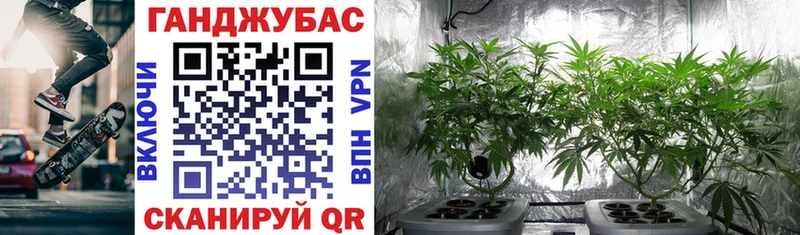 где купить   MEGA вход  МАРИХУАНА VHQ  Вязники 